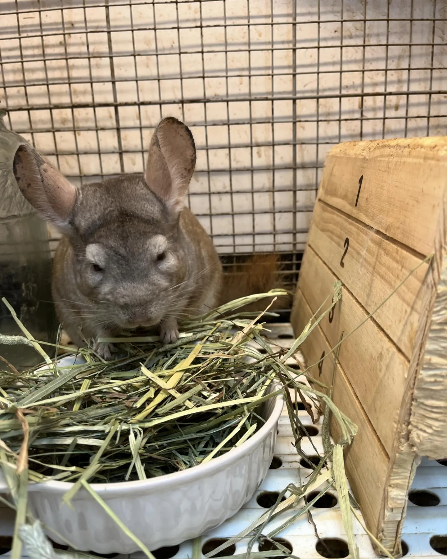 みんなのもぐもぐタイム🌱